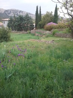 Kevät pitkällä jo huhtikuun alussa (2017)